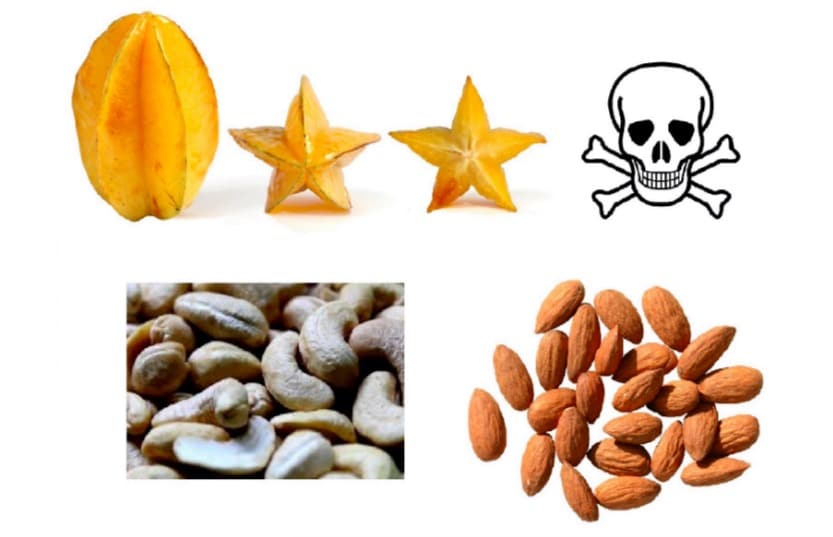 noix