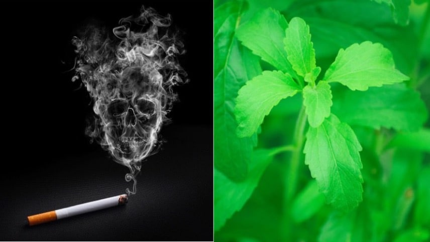 tabac danger