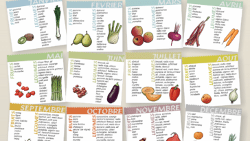 saison courses fruits légumes de saison