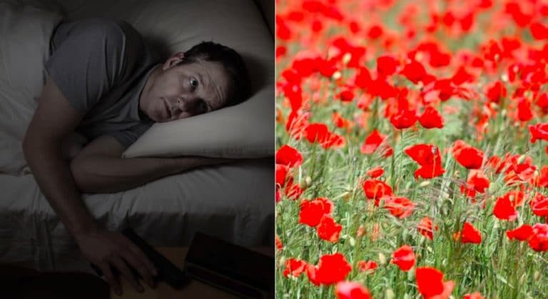 insomnies coquelicot