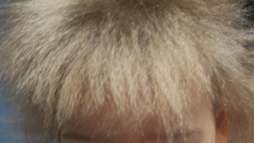 cheveux incoiffables