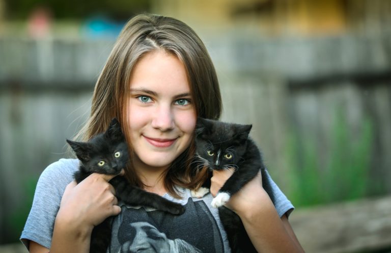 chat fille chats