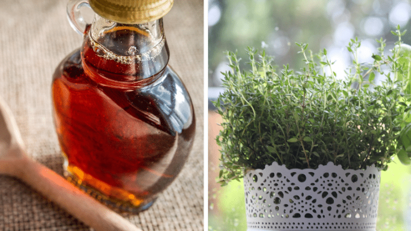 sirop thym