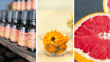 remèdes naturels toxiques