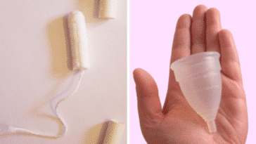 coupe menstruelle tampon hygiénique