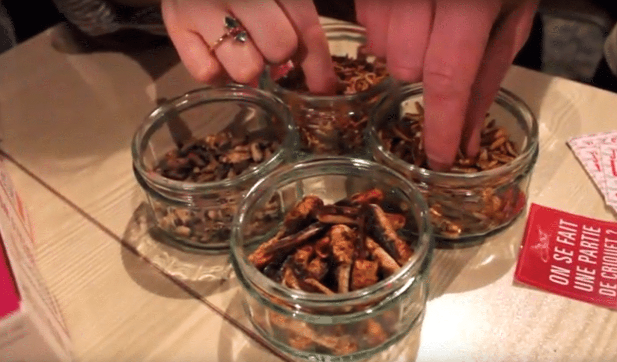 insectes apéritif