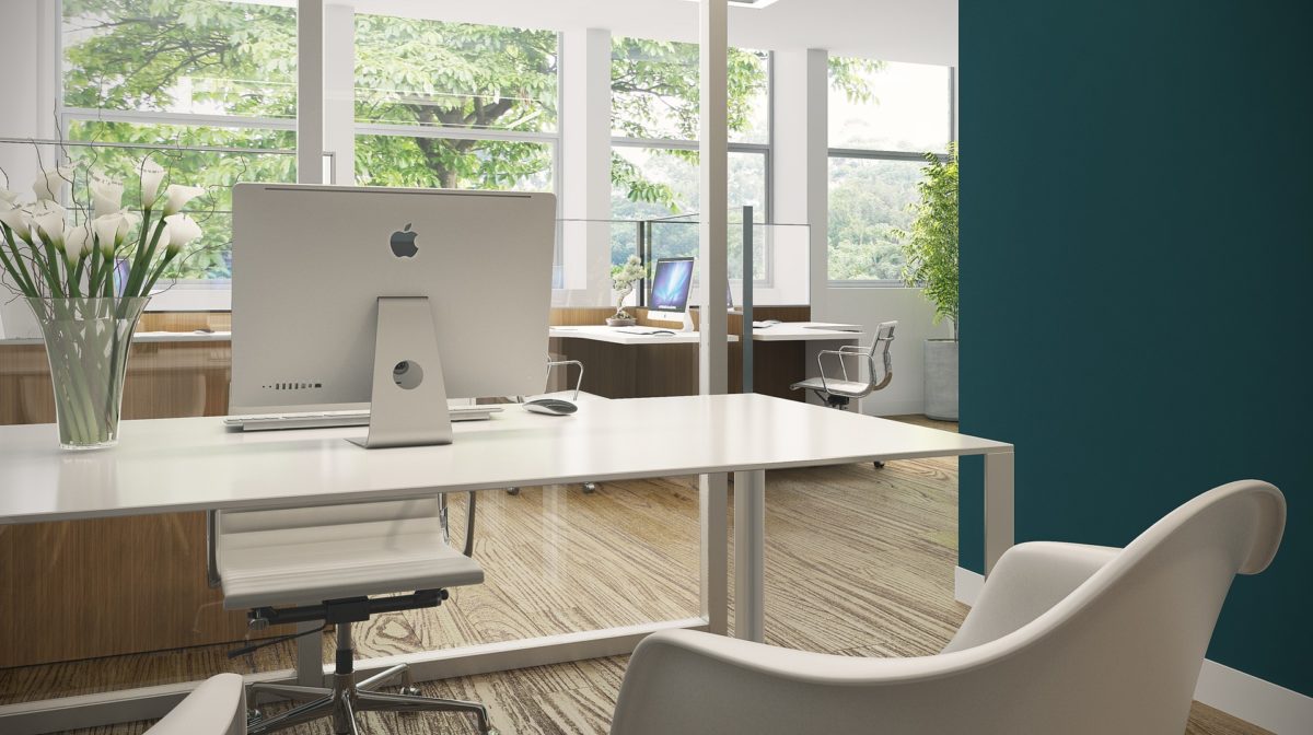 bureau plantes bien-être au travail
