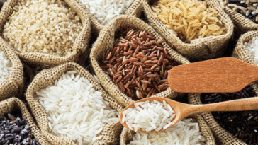 Bienfaits riz Docteur Tamalou