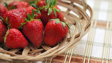 fraise bienfaits Docteur Tamalou
