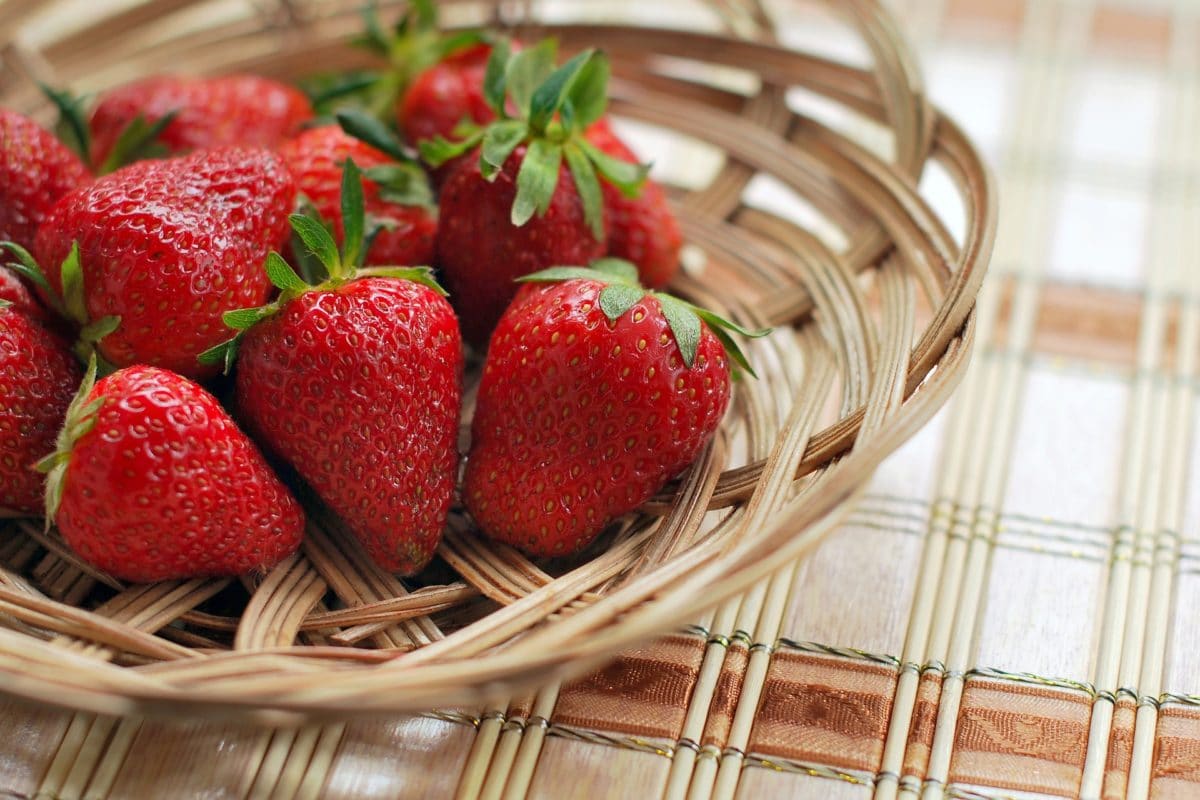 fraise bienfaits Docteur Tamalou