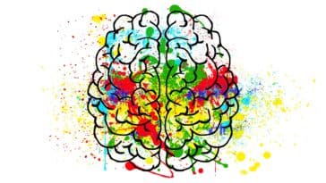 cerveau-personnalité-Pixabay