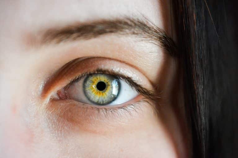 oeil-Pixabay_SofieZborilova