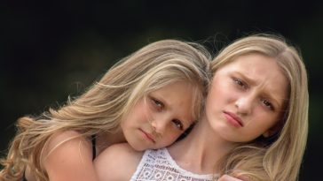 soeurs Greyerbaby Pixabay