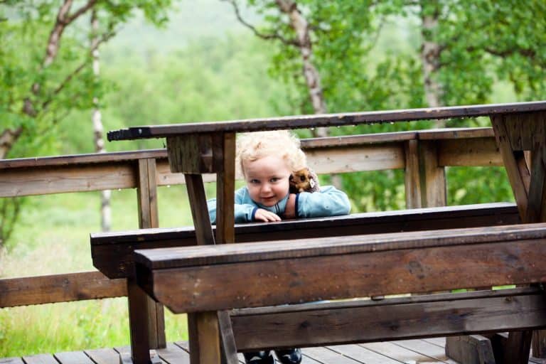 enfant curieux TJENA / Pixabay