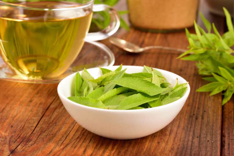 verveine thé