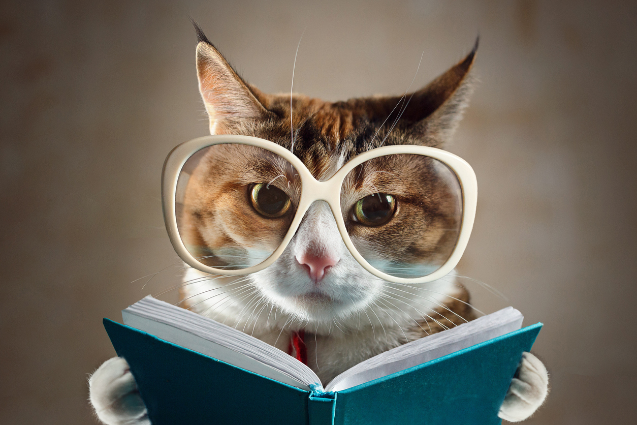 livre-lecture-cha
