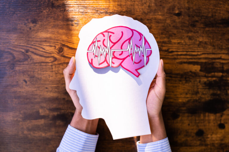 cerveau épilepsie